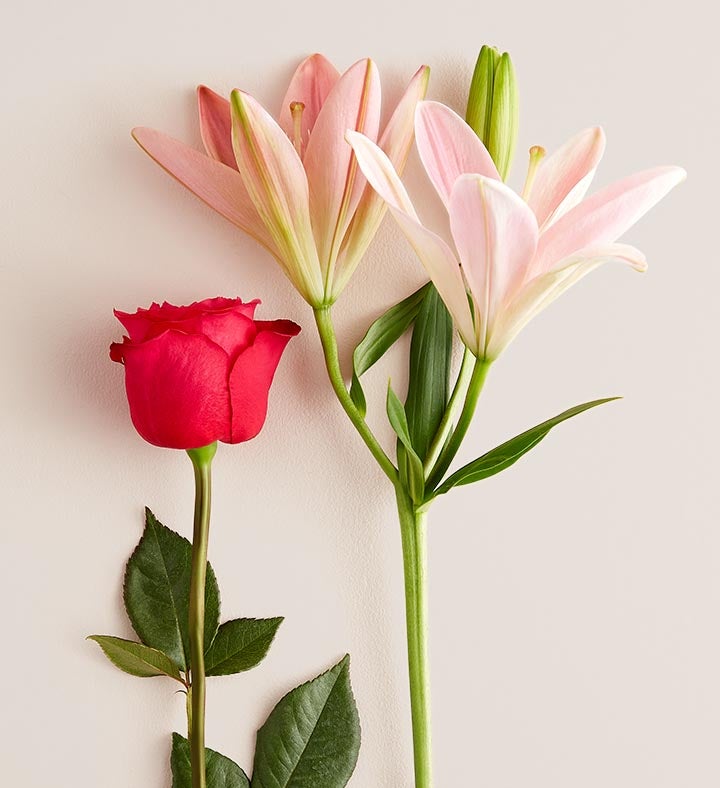 Magnificent Pink Rose & Lily Bouquet