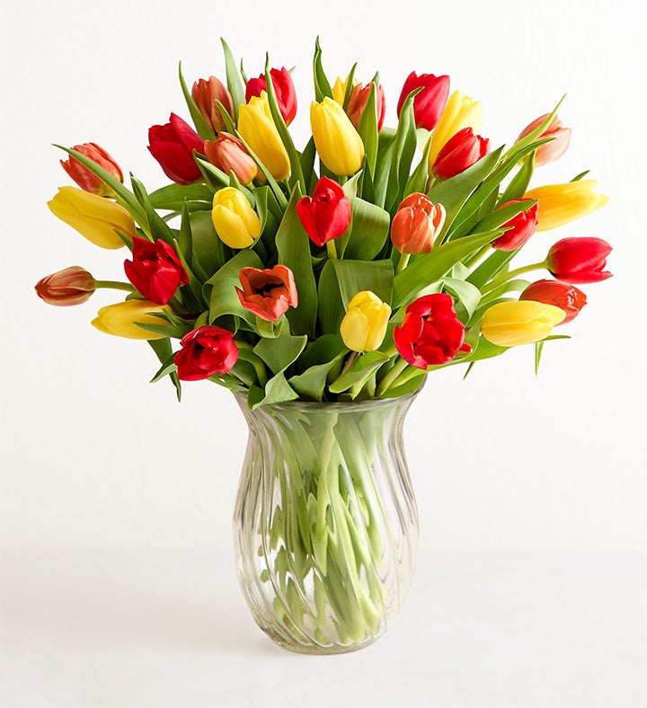 Our Favorite Fall Tulips™