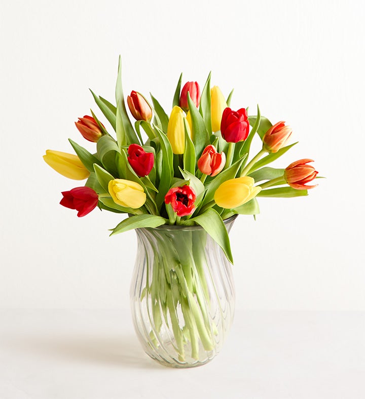 Our Favorite Fall Tulips™