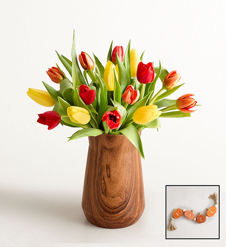 Our Favorite Fall Tulips™
