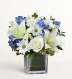 Healing Tears™ Blue & White