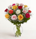 Rose Elegance™ Premium Long Stem Assorted Roses