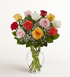 Rose Elegance™ Premium Long Stem Assorted Roses