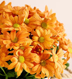 Pumpkin Patch Mum