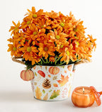 Pumpkin Patch Mum