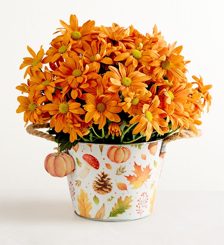 Pumpkin Patch Mum