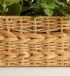 Botanical Dish Garden