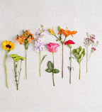 Floral Embrace™
