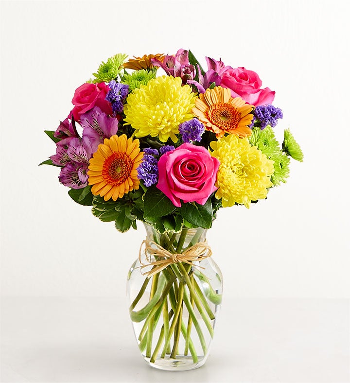 Fields of Europe® Celebration