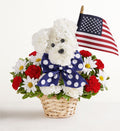 Yankee Doodle Doggie™