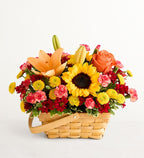 Fields of Europe® for Fall Basket