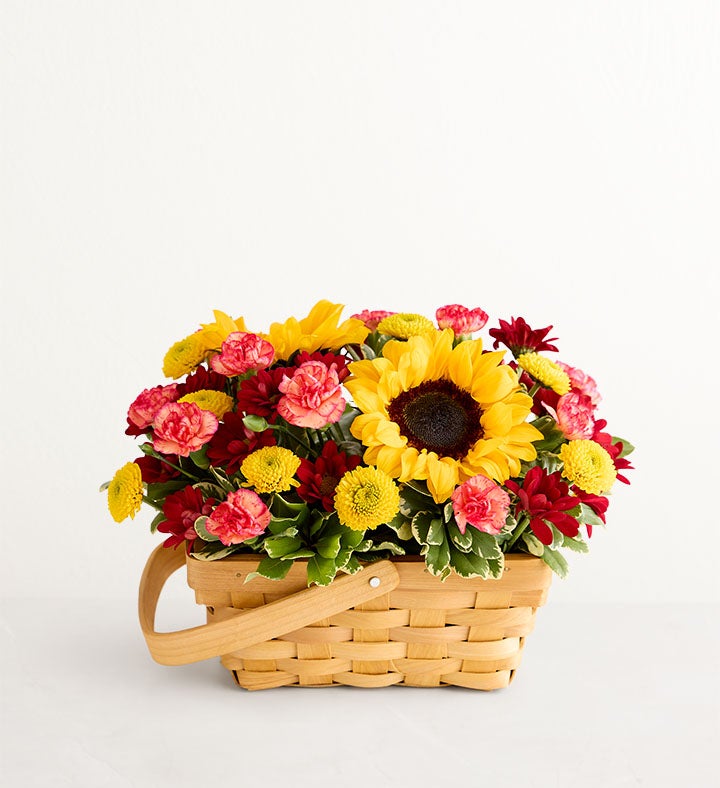 Fields of Europe® for Fall Basket