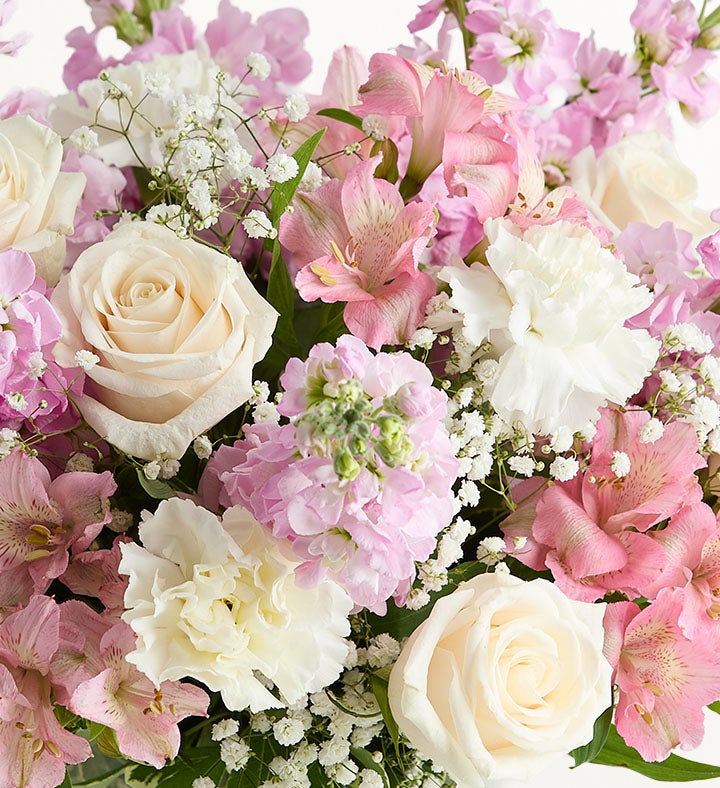 Loving Sentiments™ Pink & White
