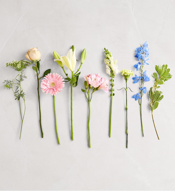 Delphinium Meadow™