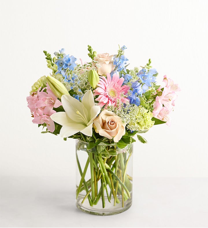 Delphinium Meadow™