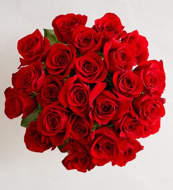 Two Dozen Red Roses