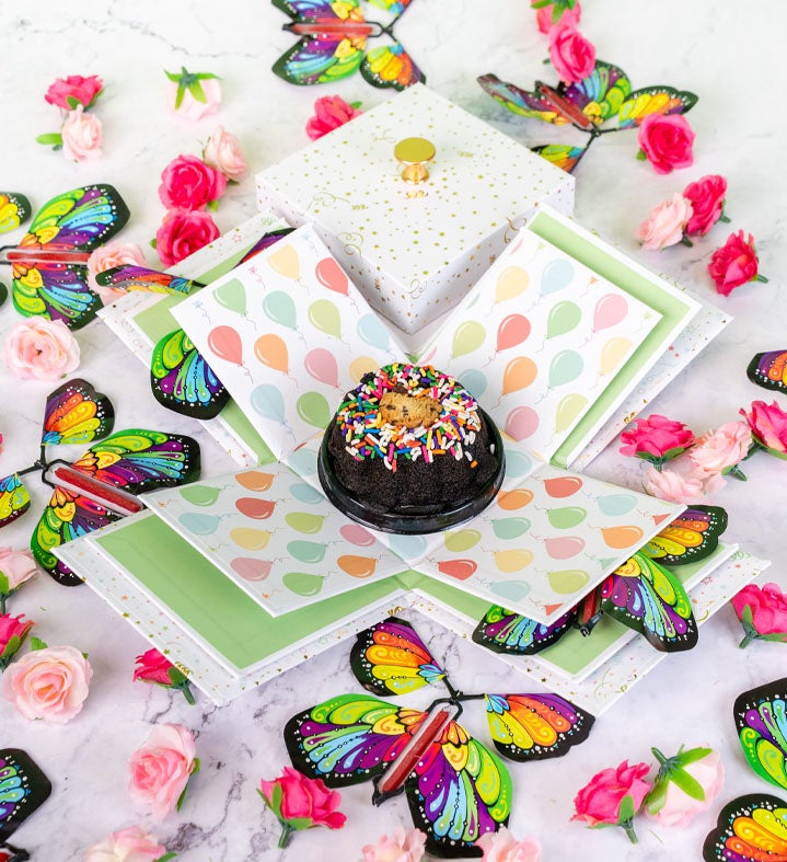 Chocolate Chip Explosion Cake Box